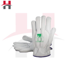 Gant en cuir souple TB PLUS  REF : EPI GCS-503